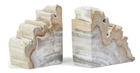Petrified Wood Bookends
